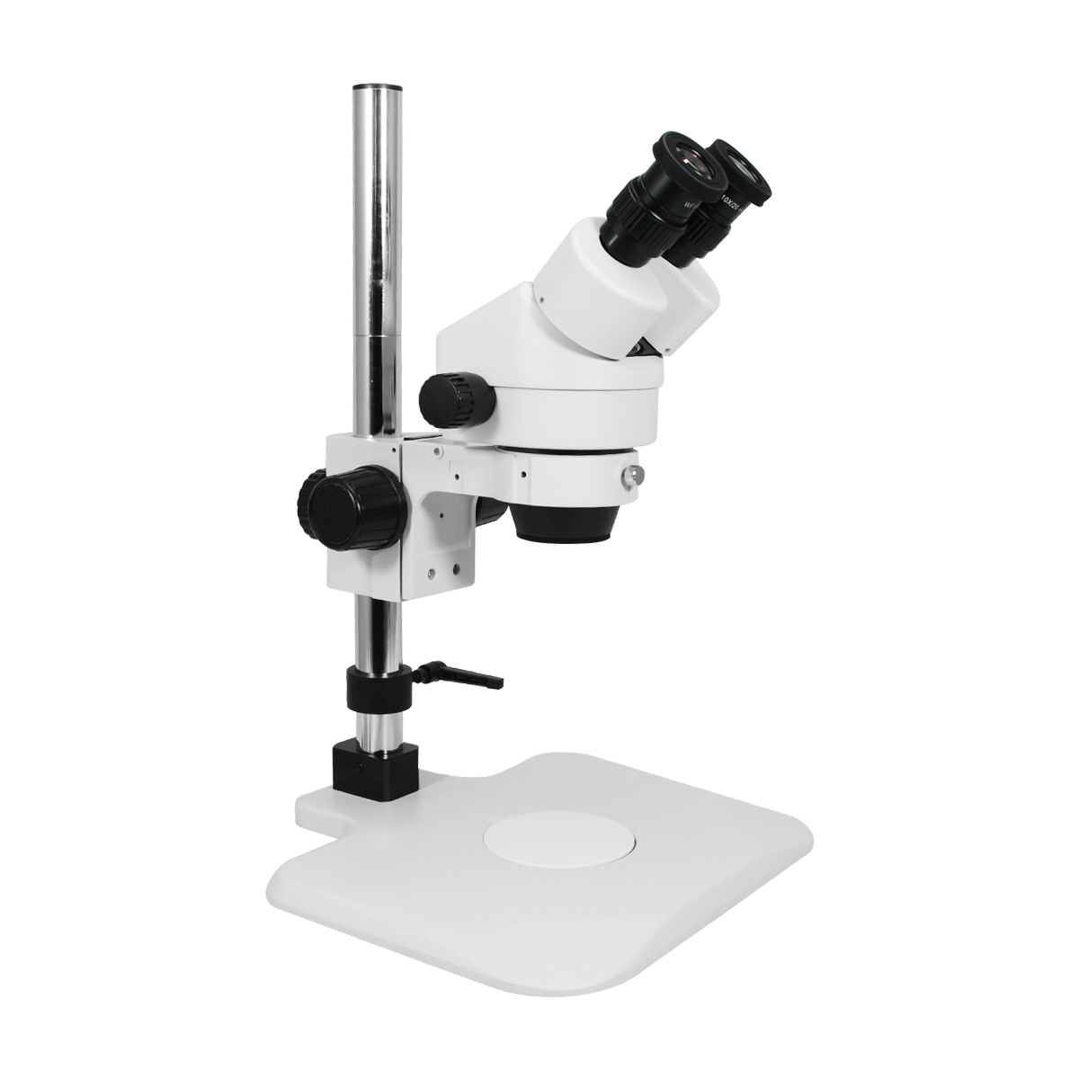 Stereo Microscope